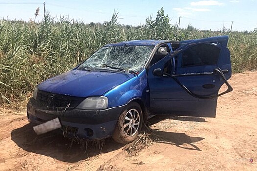 Восемь человек погибли из-за падения Renault Logan в волгоградский канал