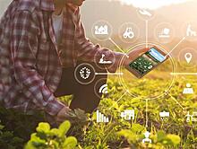 Новый цифровой сервис РСХБ в экосистеме Своё Фермерство позволит удвоить производительность агробизнеса