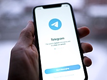 Депутат ГД Немкин призвал не пугать россиян неизбежной блокировкой Telegram