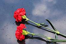 В честь погибших на СВО оренбуржцев установят 6 мемориальных досок