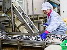 Названы главные покупатели российской рыбы