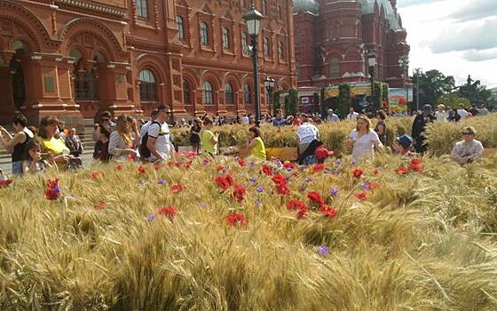 Фестиваль цветов в Москве в июле 2017 года