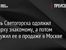 Житель Светогорска одолжил иномарку знакомому, а потом обнаружил ее в продаже в Москве