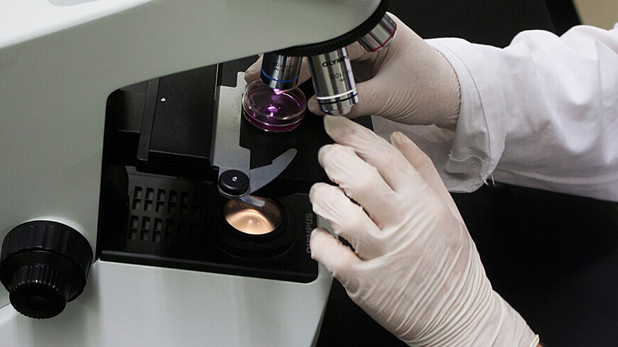 Scientists have found a way to grow human tissue outside the body