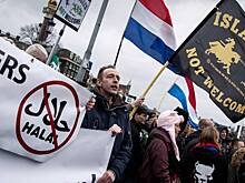 И цифра будет только расти: европейские страны отмечают засилье мигрантов