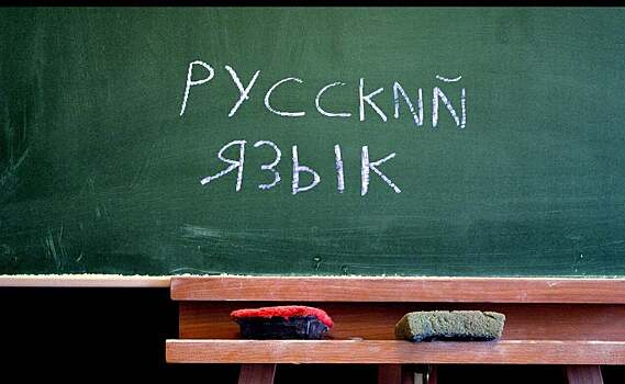 Сандро Шварц: «1-й урок русского языка – запоминающийся день. Теперь знаю личные местоимения»