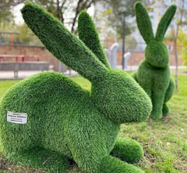 В Красноярске сломали декоративного кролика на правобережной набережной