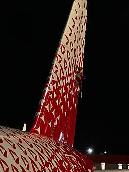 Самолет Hainan Airlines отстранили от полетов после столкновения с лайнером «России» в Шереметьево