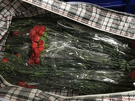 Россельхознадзор в Подмосковье выявил табачную белокрылку в срезах цветов лизиантуса из Израиля