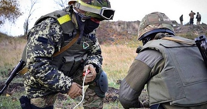 Kyodo: Япония с 22 января начнёт обучать украинских саперов на своей территории