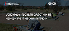 Волонтеры провели субботник на мемориале «Невский пятачок»