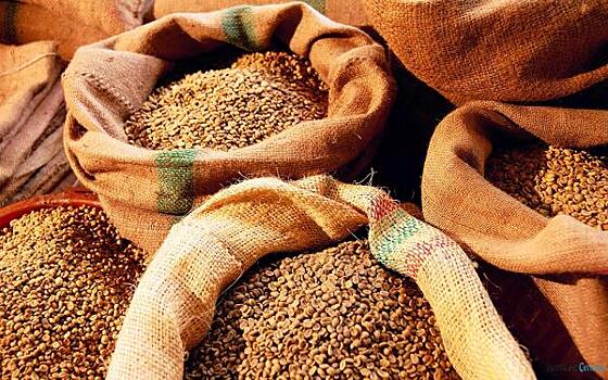 Эксперты оценили потери российских фермеров от введения пошлин на зерно в 0,5 трлн руб.