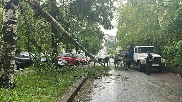 В Кирове устраняют последствия мощной грозы