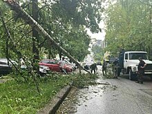 В Кирове устраняют последствия мощной грозы
