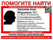 Пропавшую пенсионерку Анну Киселеву разыскивают на Бору