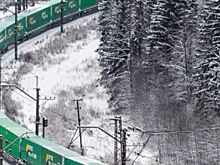 Российские рыбаки с 2025 года добыли более 1,4 млн тонн водных биоресурсов