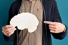 Нейробиолог Ключарев: кроссворды помогают смягчить возрастные нарушения памяти