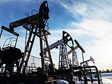 Это будет пострашнее обвала нефтяных цен, или Чем Путин ответит Трампу