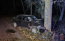 Под Волгоградом 63-летний водитель легковушки погиб, столкнувшись с деревом