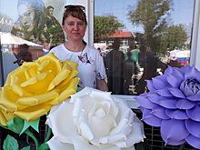 День Карасука-2019: салют, скрипачки и ярмарка