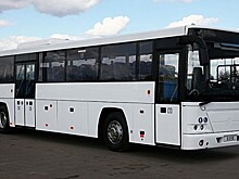 Объем российского рынка новых автобусов вырос в январе-сентябре на 11,8% - до 8,9 тыс. единиц