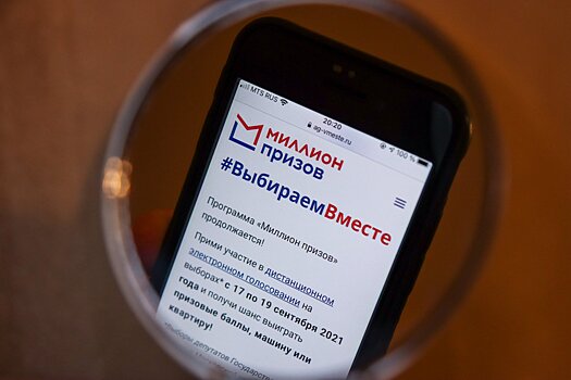 В Москве во время осеннего онлайн-голосования хотят провести акцию «Миллион призов»