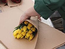 Куда пойти в выходные дни в Перми? Афиша на 8, 9, 10, 11 марта