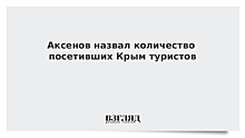 Аксенов назвал количество посетивших Крым туристов