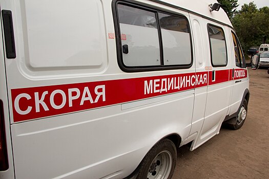 В Курской области грузовик сбил мужчину