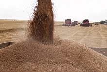 Польша пригрозила бессрочным эмбарго на украинское зерно