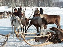 В Югре открылась выставка игр и игрушек народов Севера