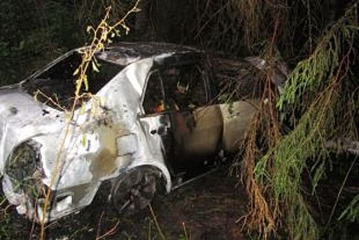 В Вельском районе армянский Ниссан врезался в дерево