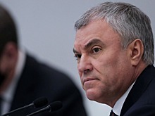 Володин призвал к решению проблемы с мошенничеством при продаже машин