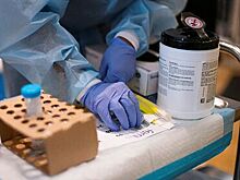 В Минздраве раскрыли информацию о выявленном в США штамме COVID-19 «Йота»
