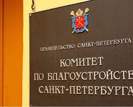 Тише едешь – дальше будешь. Комитет по благоустройству объяснил грузоперевозчикам, как избежать больших штрафов