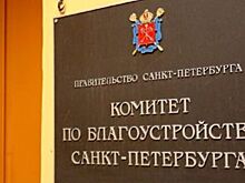 Тише едешь – дальше будешь. Комитет по благоустройству объяснил грузоперевозчикам, как избежать больших штрафов