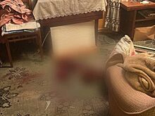 Главе СК доложат о ходе расследования дела о нападении мужчины с топором на пожилую пару в ТиНАО