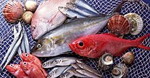 Эксперт назвал опасные для здоровья виды рыбы