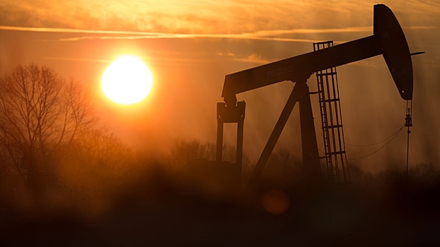 WSJ: Байден отказался от ограничения цен на российскую нефть до выборов в конгресс