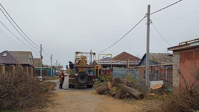 Вырубили почти 400: с начала года в Волгодонске выдали разрешение на валку 1400 деревьев