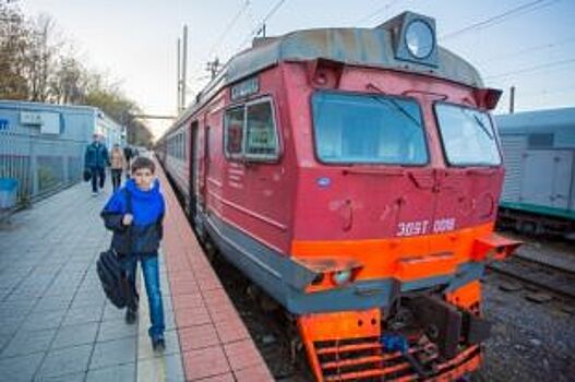 Регулярные электрички введут со станции «Петряевка» до «Кустовой»