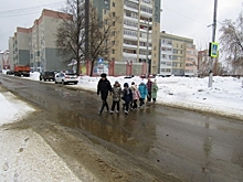 Саровские госавтоинспекторы научили первоклассников правильно переходить дорогу