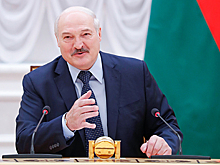Лукашенко раскрыл содержимое взятого на встречу с Путиным чемодана
