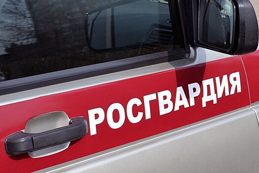 Росгвардейцы задержали ранившего ножом двоих мужчин в Москве
