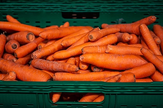 В Екатеринбурге уничтожили 15 тонн заражённых перцев