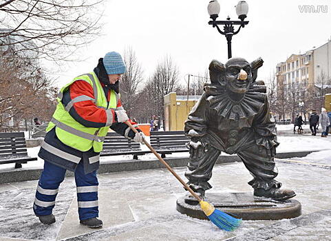 Зима в городе: специалисты отвечают на острые вопросы москвичей