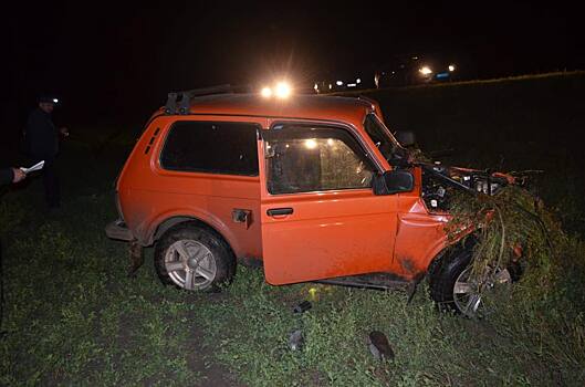 В Башкирии пассажира «Нивы» убило бревном