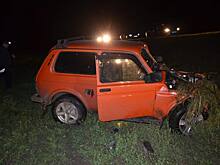 В Башкирии пассажира «Нивы» убило бревном