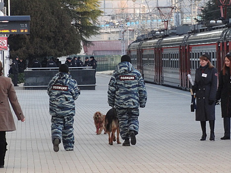 Российские полицейские попали под суд за аферу с собачьим кормом