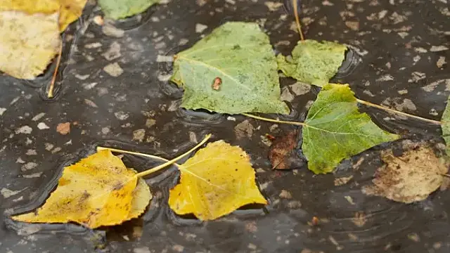 Народные приметы на 24 октября 2025 года: что нельзя делать в этот день